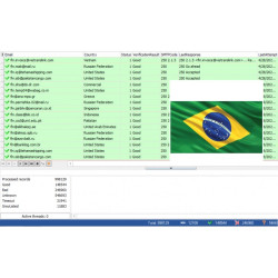 100,000 Brazil - Business Private Email Leads [ 2024 Updated ]