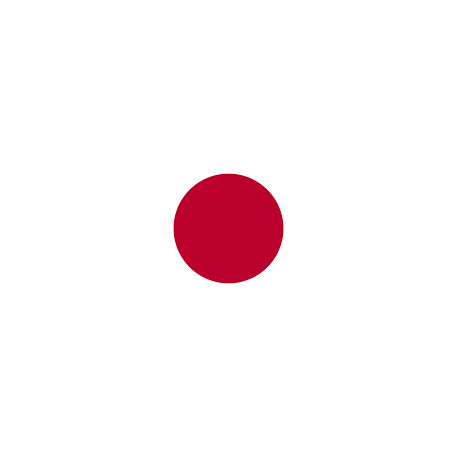JAPAN ( 30 Days ) 2G Ram Admin RDP Port 25 Open - New & Fresh IP Clear