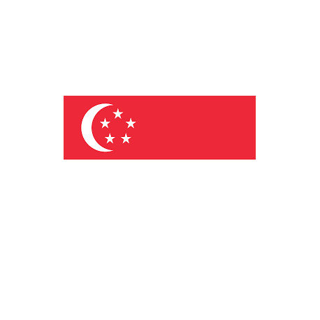 Singapore ( 30 Days ) 2G Ram Admin RDP Port 25 Open - New & Fresh IP Clear